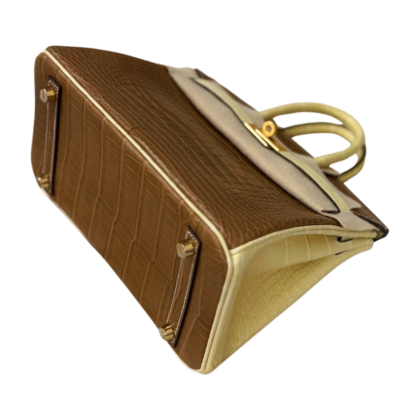 Hermès Birkin 25 Matte Alligator — view 11