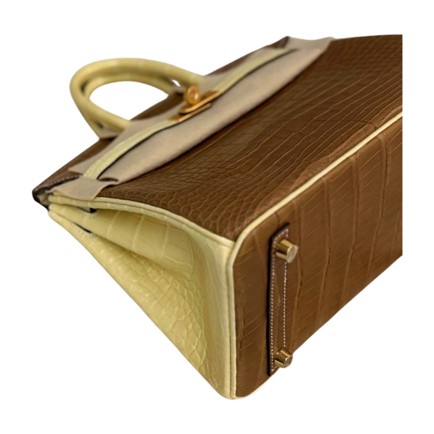 Hermès Birkin 25 Matte Alligator — view 12