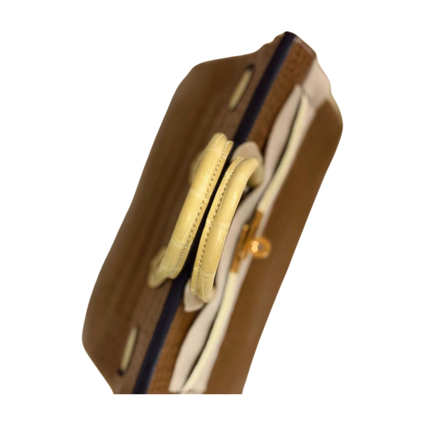 Hermès Birkin 25 Matte Alligator — view 15