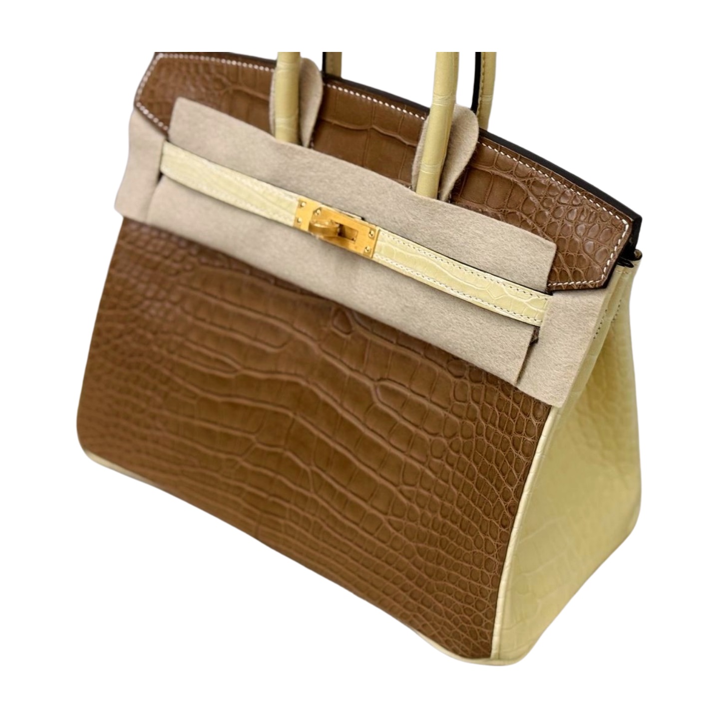 Hermès Birkin 25 Matte Alligator — view 16