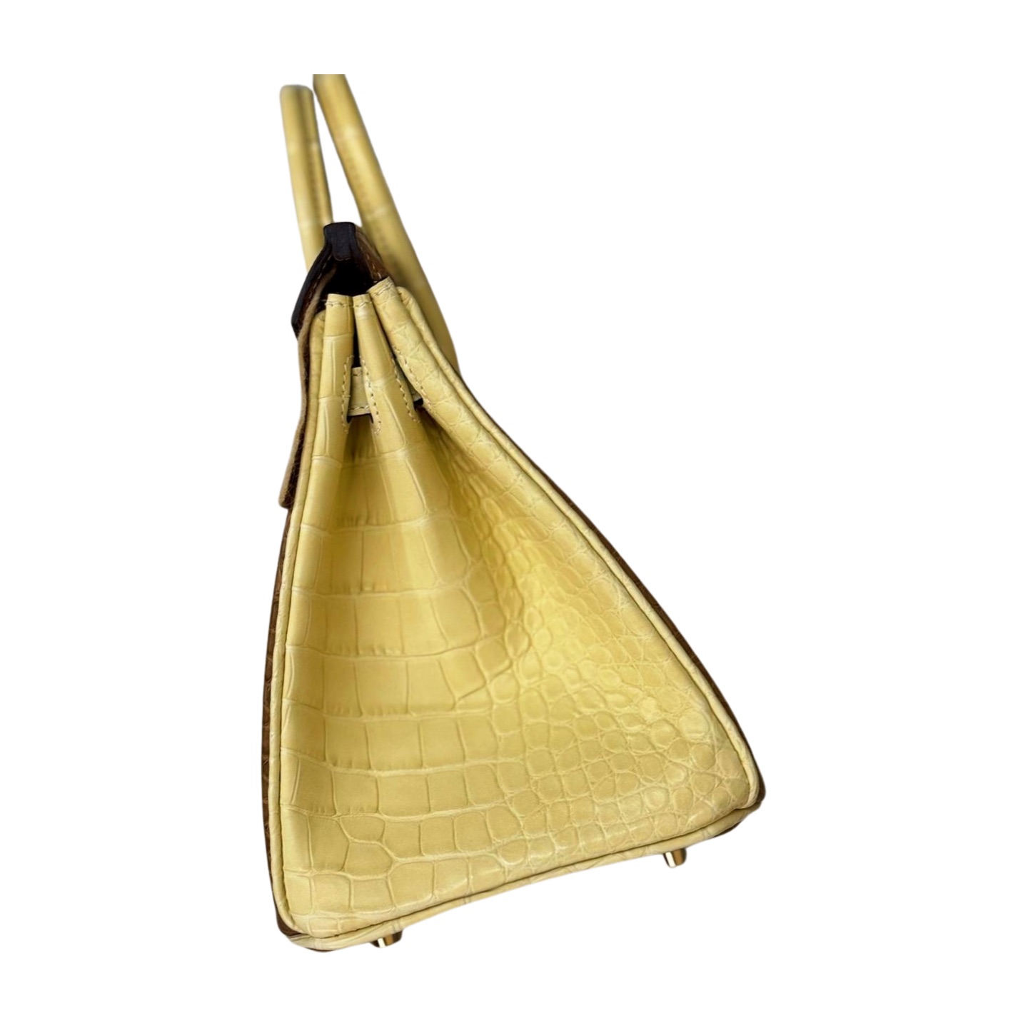 Hermès Birkin 25 Matte Alligator — view 7