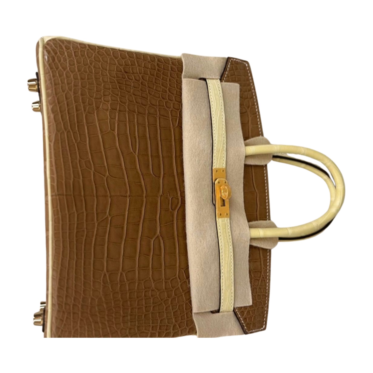 Hermès Birkin 25 Matte Alligator — view 9