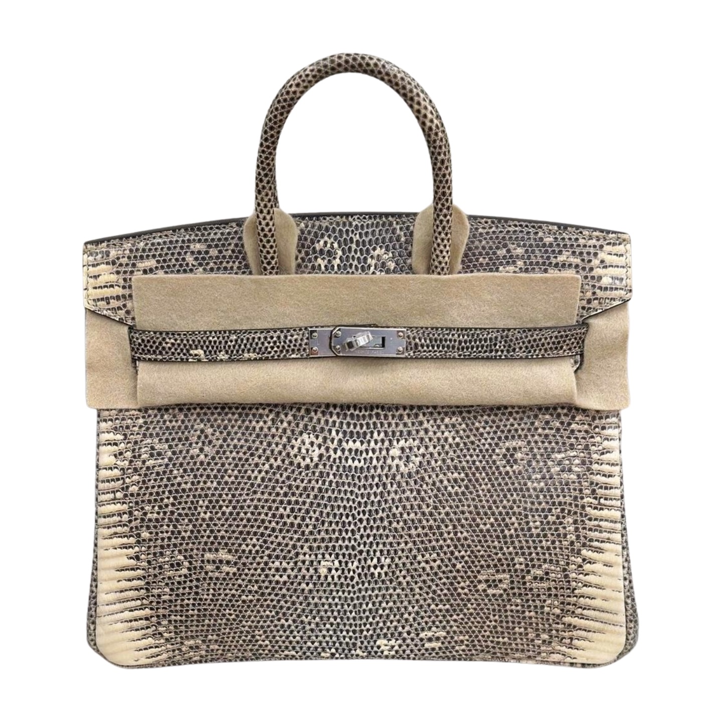 Hermès Birkin 25 Ombré Varanus Salvator Lizard Palladium Hardware