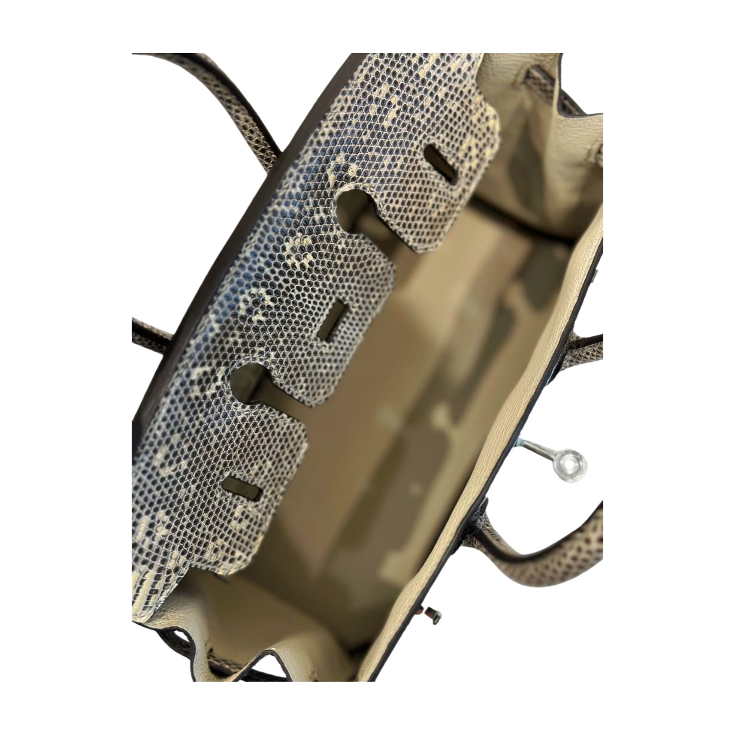 Hermès Birkin 25 Ombré Varanus Salvator Lizard Palladium Hardware — view 3