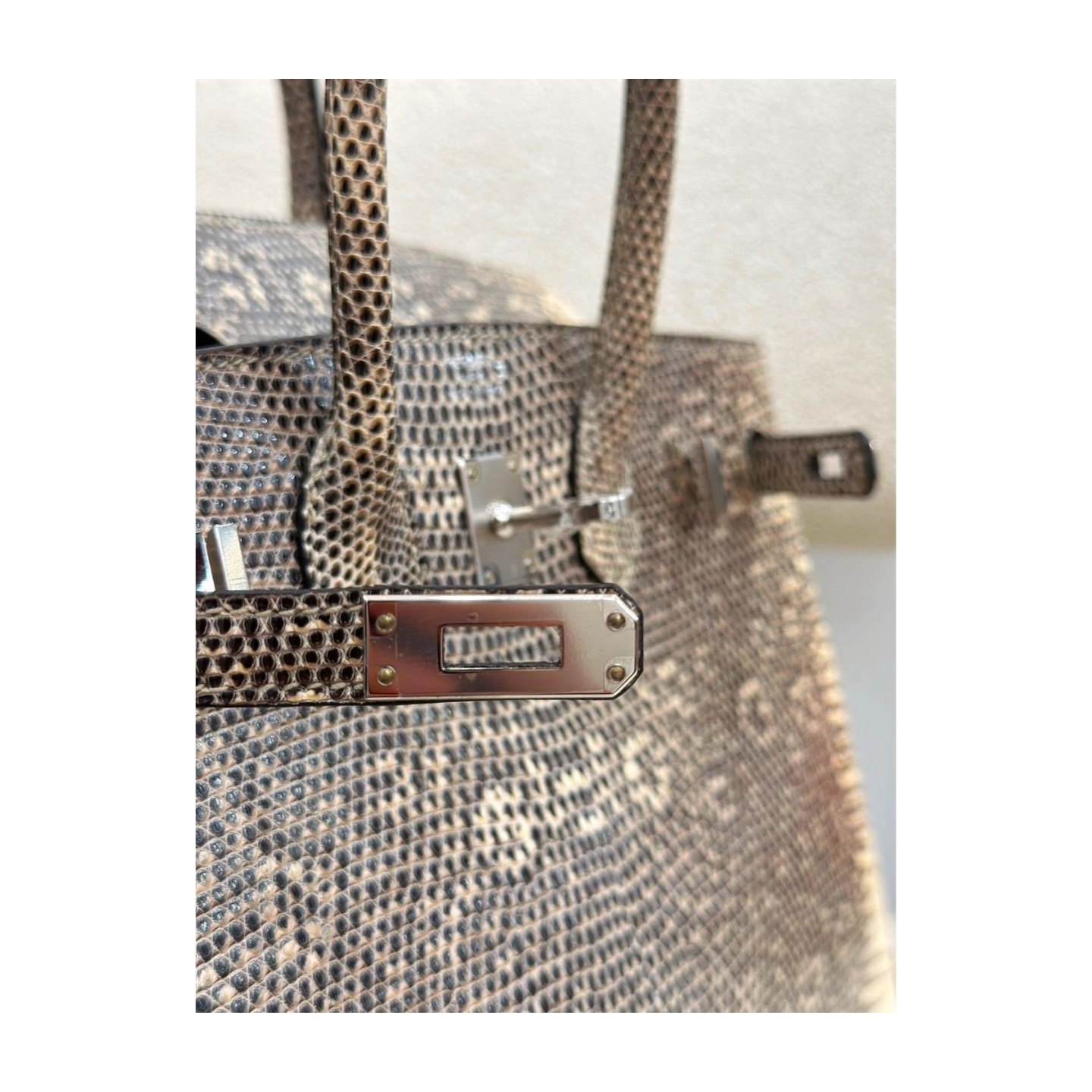 Hermès Birkin 25 Ombré Varanus Salvator Lizard Palladium Hardware — view 4