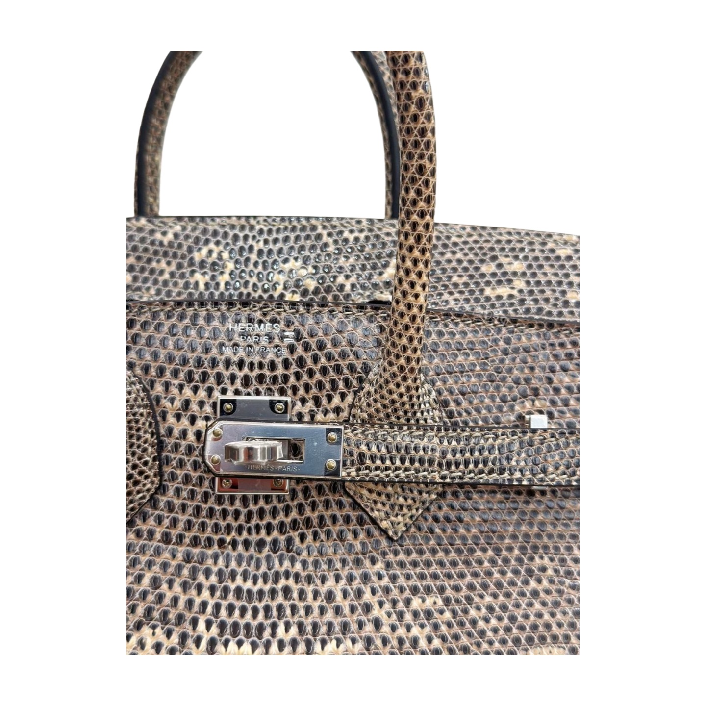 Hermès Birkin 25 Ombré Varanus Salvator Lizard Palladium Hardware — view 5