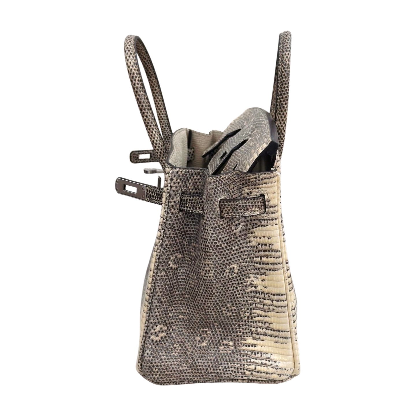 Hermès Birkin 25 Ombré Varanus Salvator Lizard Palladium Hardware — view 6