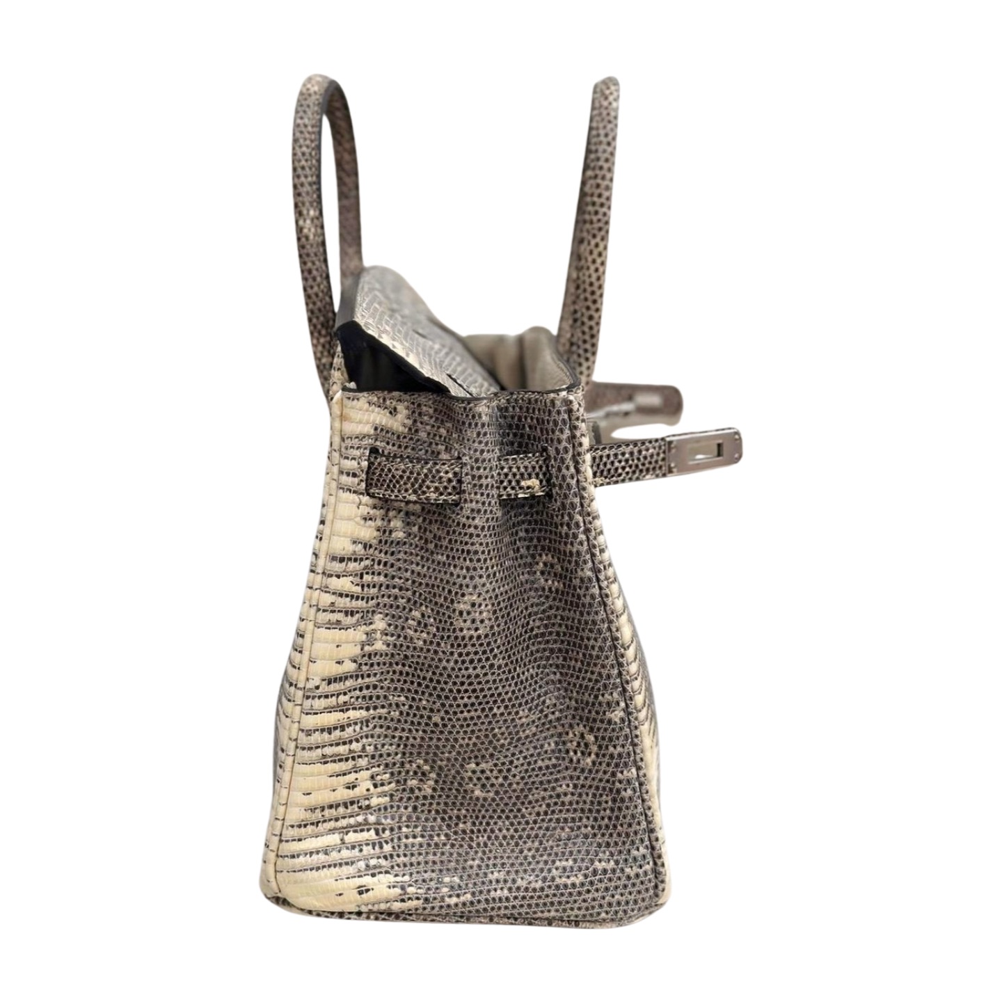 Hermès Birkin 25 Ombré Varanus Salvator Lizard Palladium Hardware — view 7