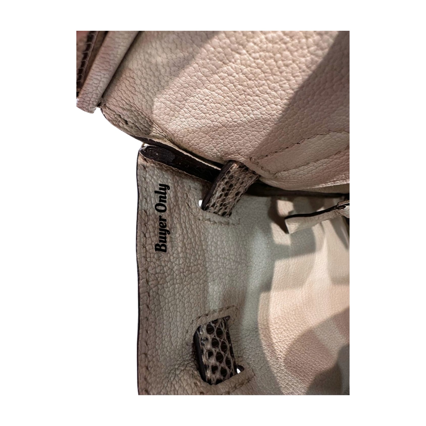 Hermès Birkin 25 Ombré Varanus Salvator Lizard Palladium Hardware — view 8